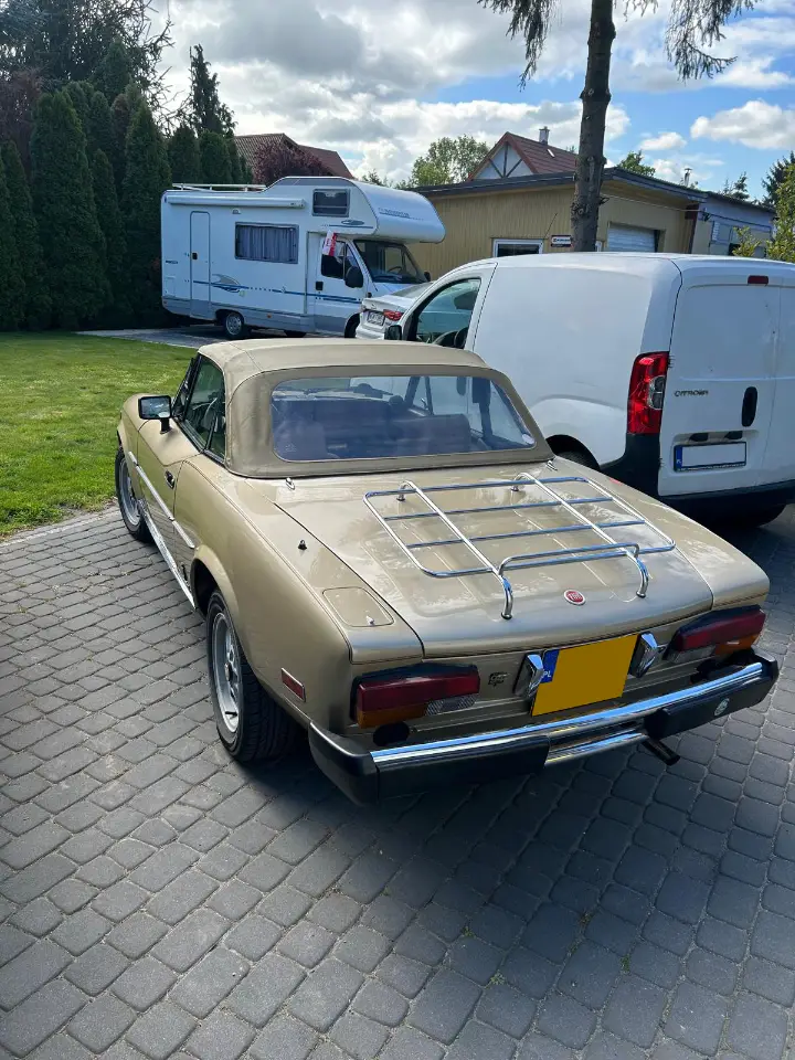 WhatsApp Image 2026-02-08 at 16.39.11 (3)