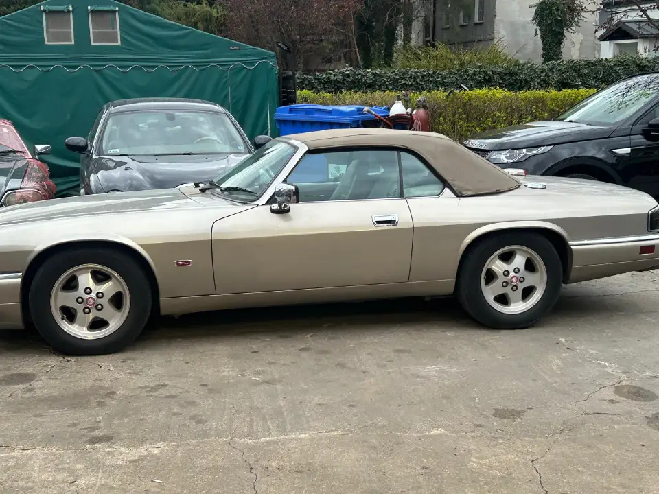 WhatsApp Image 2026-02-08 at 16.39.11 (4)