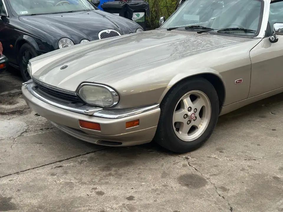 WhatsApp Image 2026-02-08 at 16.39.11 (6)