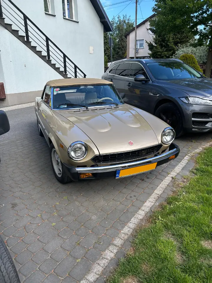 WhatsApp Image 2026-02-08 at 16.39.11