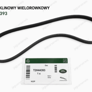 Pasek klinowy wielorowkowy